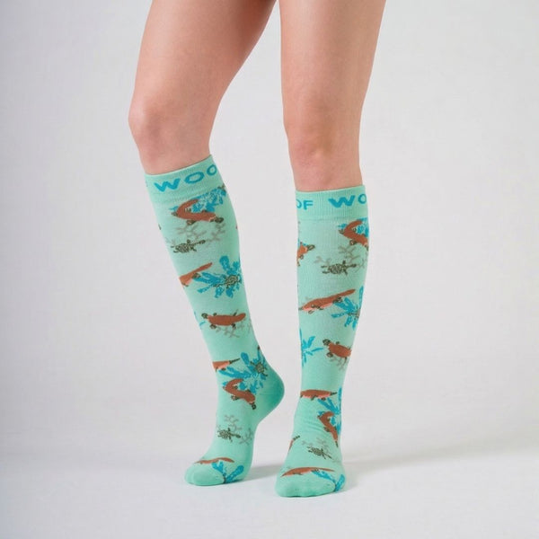//ca.drwoofapparel.com/cdn/shopifycloud/storefront/assets/no-image-2048-a2addb12_grande.gif