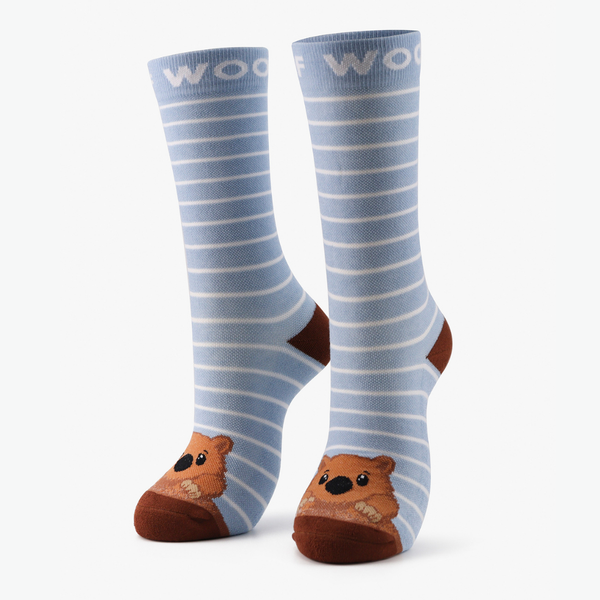 //ca.drwoofapparel.com/cdn/shopifycloud/storefront/assets/no-image-2048-a2addb12_grande.gif
